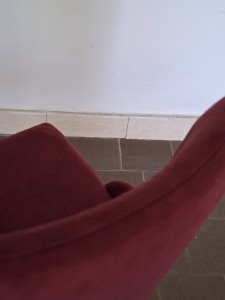 20240509_132513.jpg